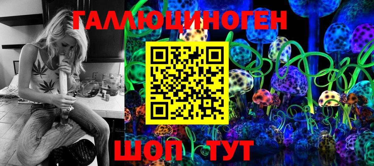 Галлюциногенные грибы Cubensis Урус-Мартан