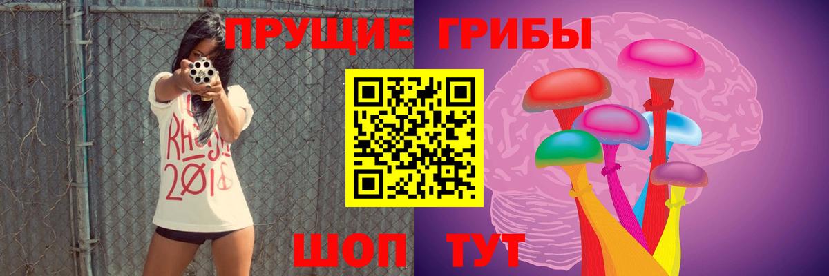 Урус-Мартан  Галлюциногенные грибы прущие грибы  наркошоп  Вход с VPN 